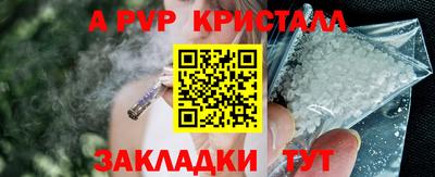 мяу мяу мука Беслан