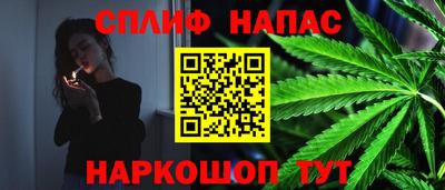 мяу мяу мука Беслан