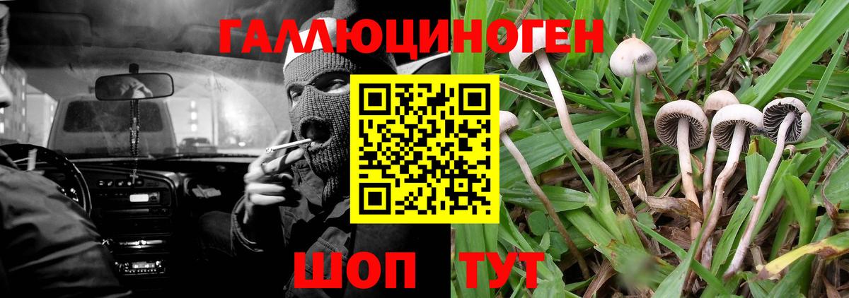 Псилоцибиновые грибы Magic Shrooms  Вход с VPN  Ижевск 