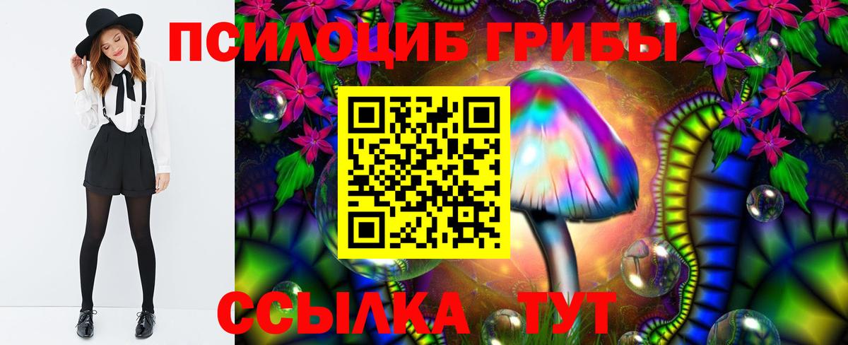 Галлюциногенные грибы Magic Shrooms Ижевск
